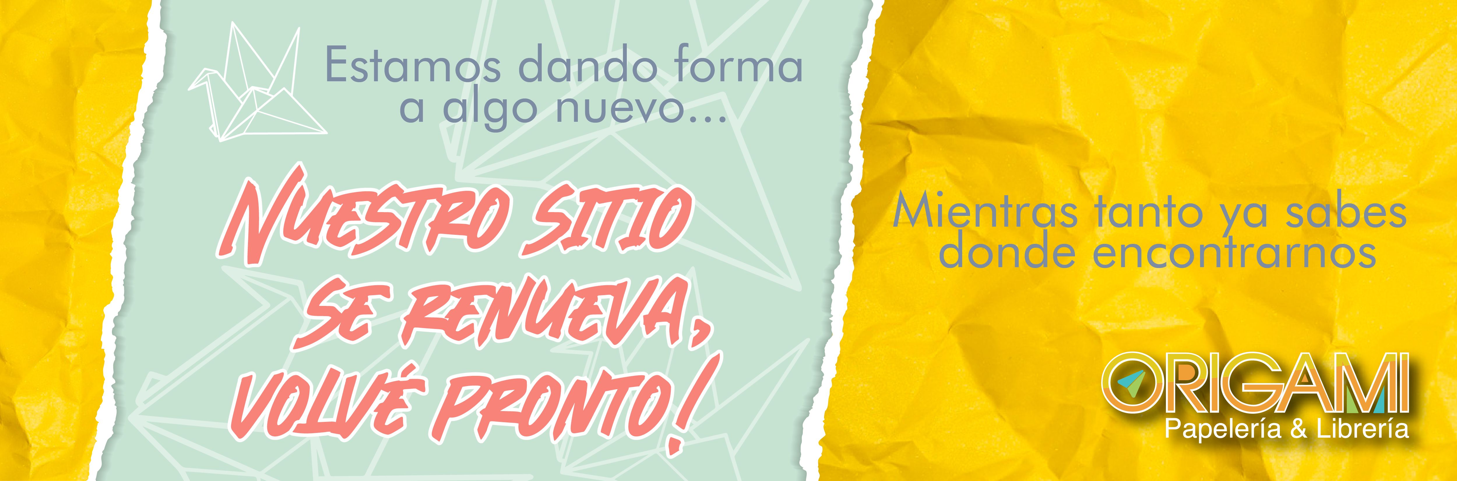 Odoo CMS - una imagen grande